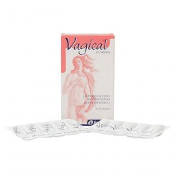 Вагикаль суппозитории вагинальные 150 мг N10 в Нальчике и области фото